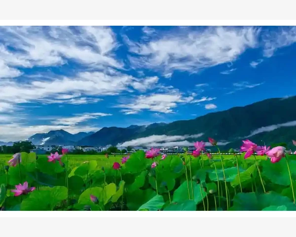 注册会计师资质查询三步走